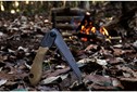 Scie Bushcraft Silky Pocketboy - Outback edition